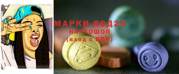 ГАЛЛЮЦИНОГЕННЫЕ ГРИБЫ Абаза