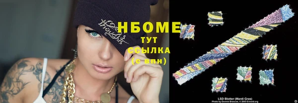 ГАЛЛЮЦИНОГЕННЫЕ ГРИБЫ Абаза