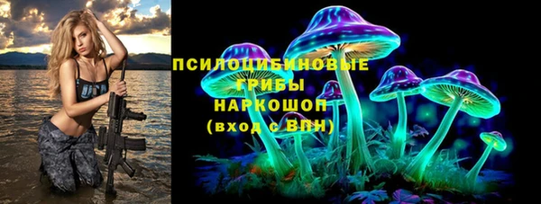 стаф Алзамай