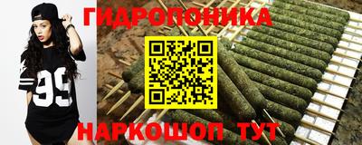 соль ск Новодвинск