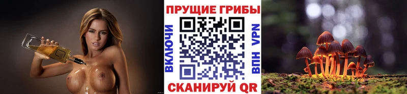 гидра зеркало  цены наркотик  Энгельс  Галлюциногенные грибы Cubensis 