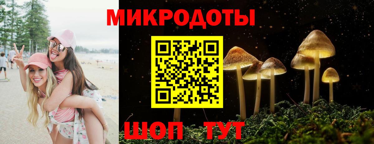 Энгельс  Псилоцибиновые грибы мухоморы  Вход с VPN 
